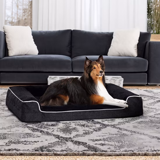 Fodera lavabile e rimovibile, soffice divano per animali domestici, seggiolino per auto per cani